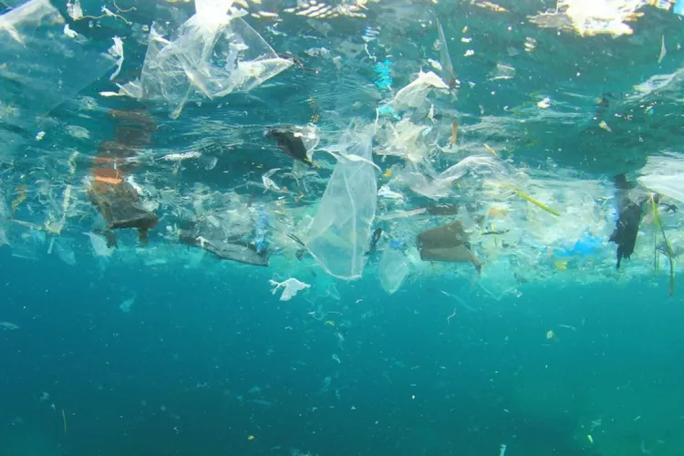 déchets dans l'océan