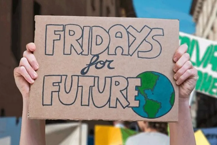 Fridays for Future protester