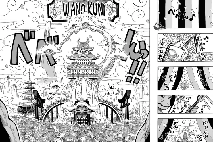 One Piece pages