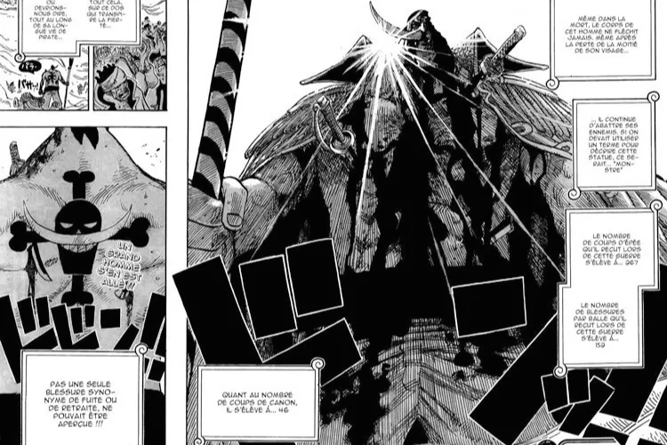 planche de One Piece