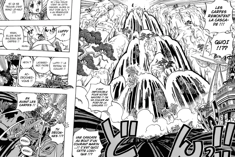 planche de One Piece